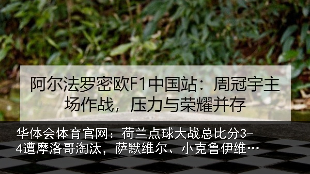 华体会体育官网：荷兰相关情况摩洛相关情况克鲁伊维特丢点