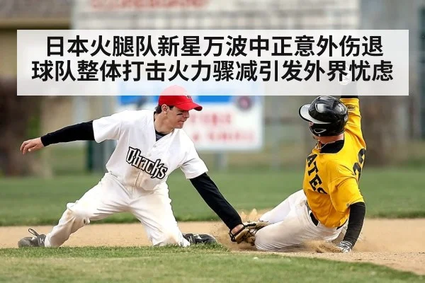 日本火腿队新星万波中正意外伤退 球队整体打击火力骤减引发外界忧虑